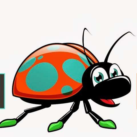 Coloured Bugs Coloured Bugs