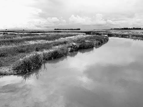 McKell Wascana Conservation Park