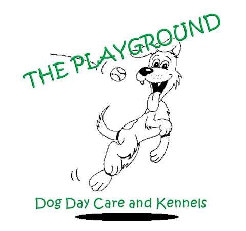 The Playground Dog Daycare & Kennels The Playground Dog Daycare & Kennels
