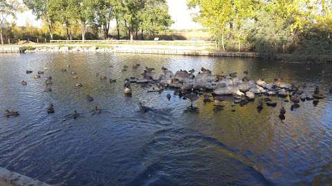 Wascana Waterfowl Park Display Ponds